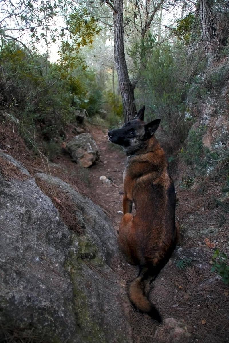 Unsplash.com/Insta Roll Photography