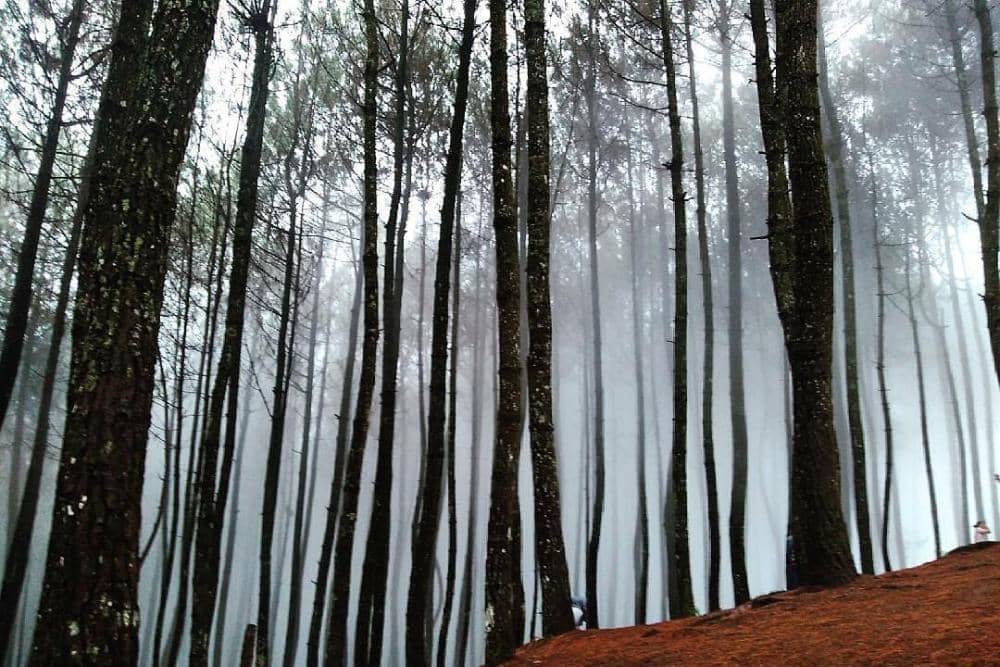 instagram.com/bukitmoko