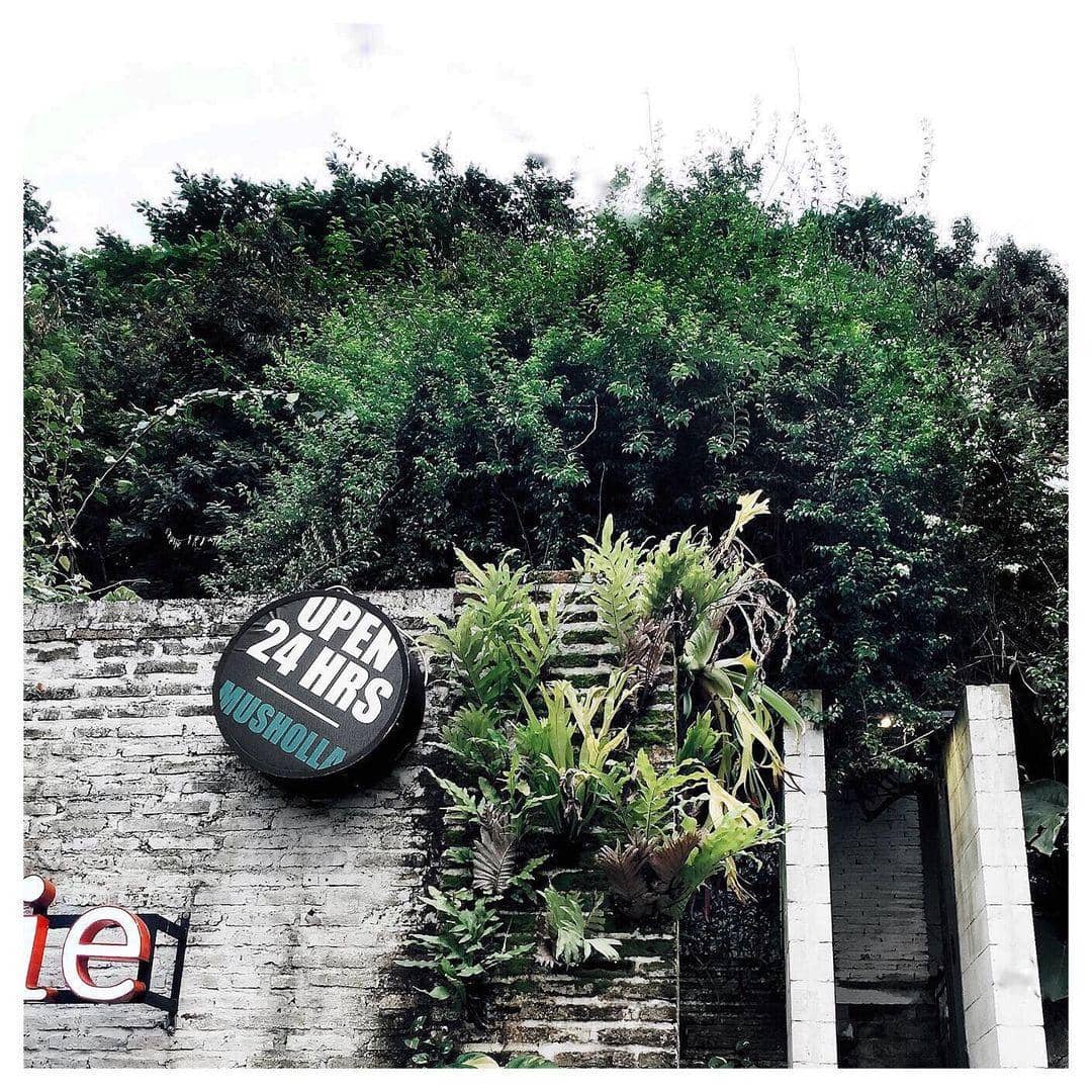 instagram.com/peacockoffie