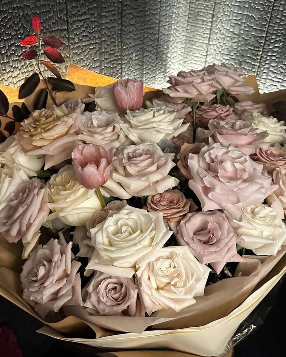 Instagram.com/baifernbah