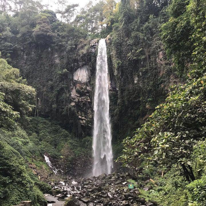 Instagram.com / massool