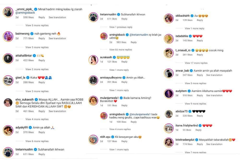 instagram.com/amingisback