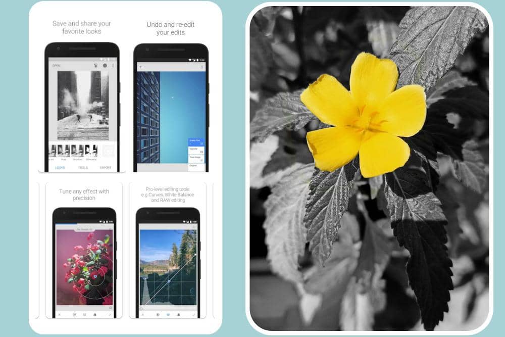 play.google.com & twitter.com/Ashu_24