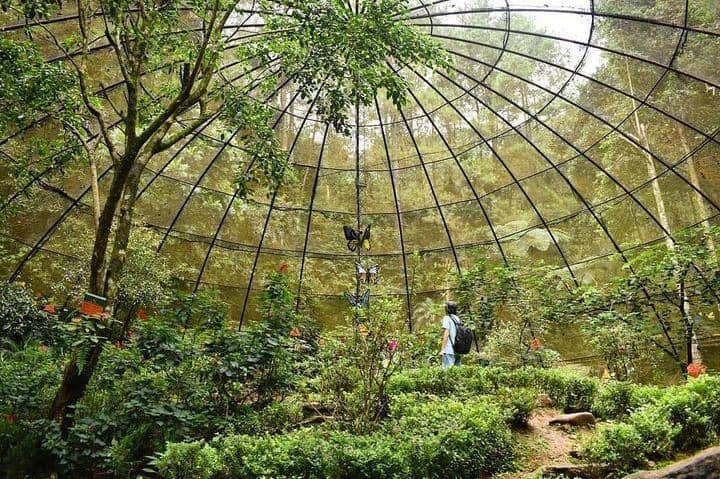 Instagram.com / bogorkeun