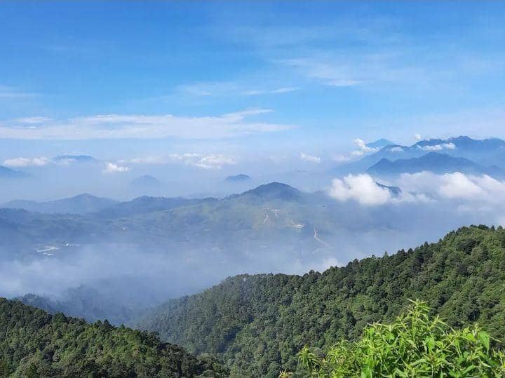 Instagram.com / lusiabudiman