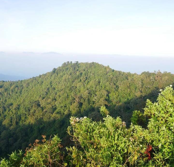 Instagram.com / harry_yadi22