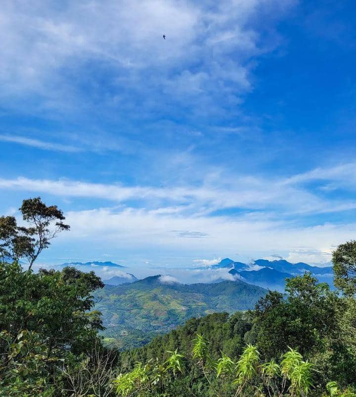 Instagram.com / abrhml