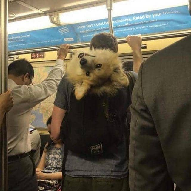 instagram.com/sociaty