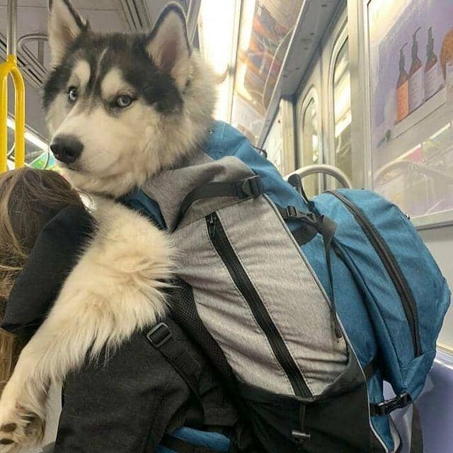 instagram.com/sociaty