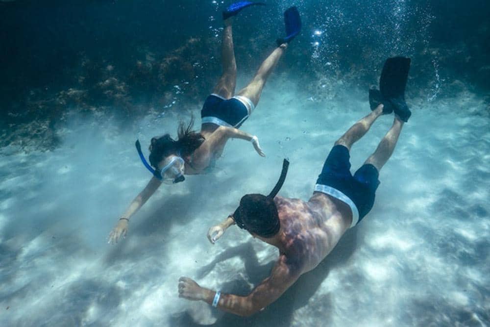 Pexels/Joao Ricardo Januzzi