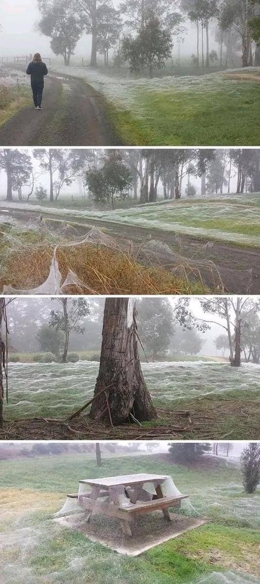 Facebook.com/Dirty and Funny Jokes