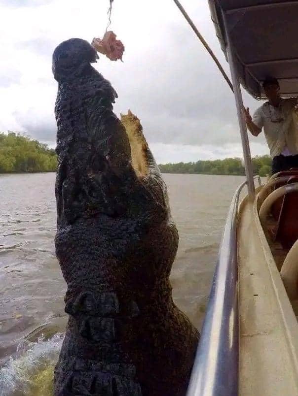 Facebook.com/Dirty and Funny Jokes