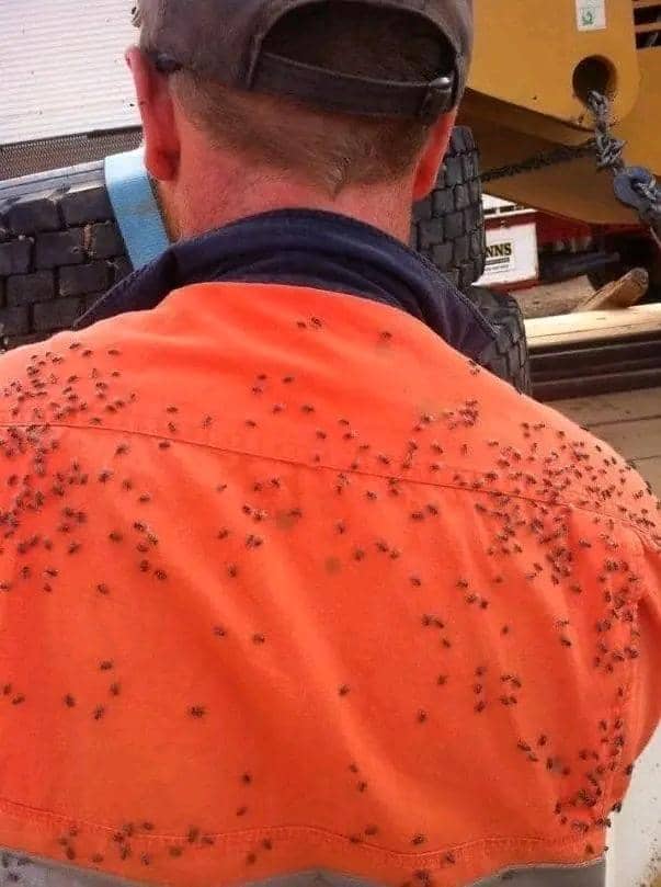 Facebook.com/Dirty and Funny Jokes