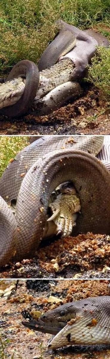 Facebook.com/Dirty and Funny Jokes