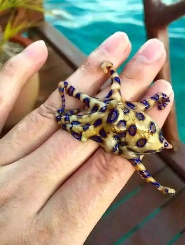 Facebook.com/Dirty and Funny Jokes