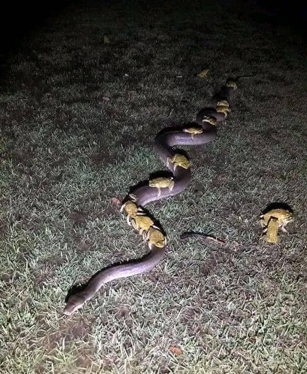 Facebook.com/Dirty and Funny Jokes