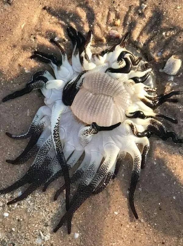 Facebook.com/Dirty and Funny Jokes