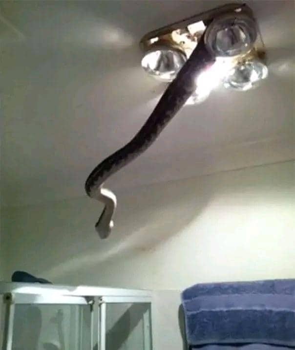 Facebook.com/Dirty and Funny Jokes