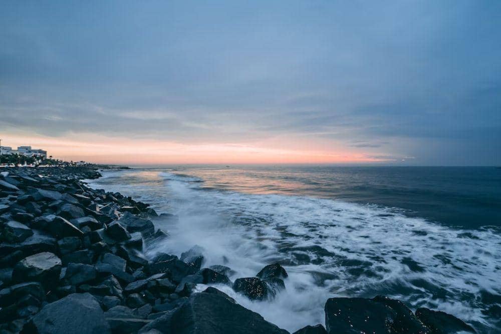 unsplash.com/suicide_chewbacca