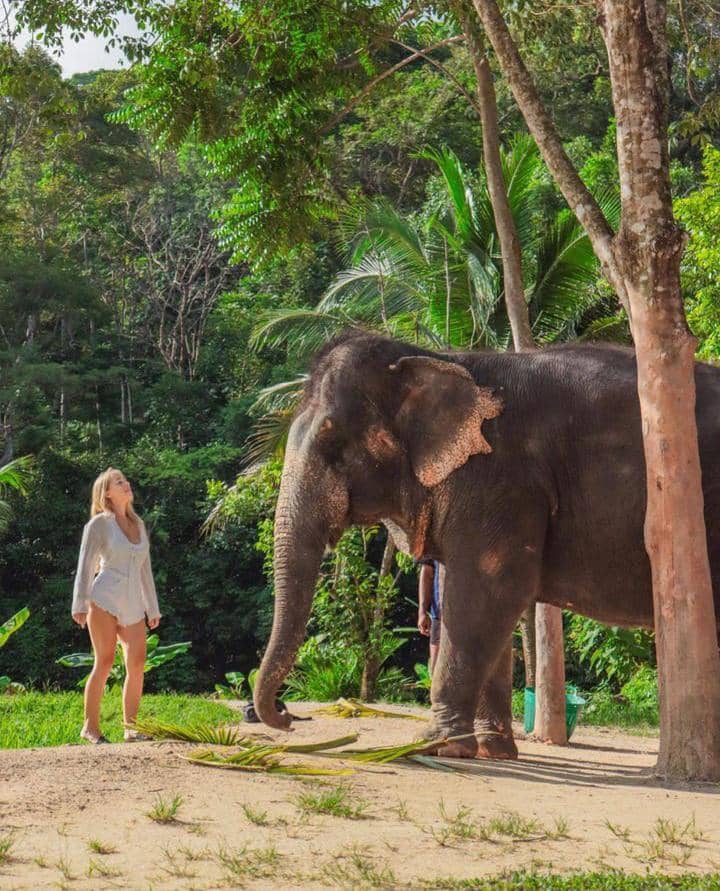 Instagram.com / greenelephantsanctuarypark