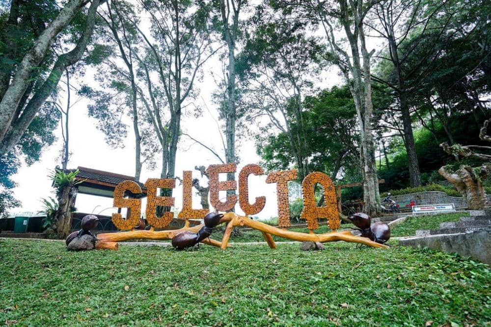 instagram.com/tamanrekreasiselecta