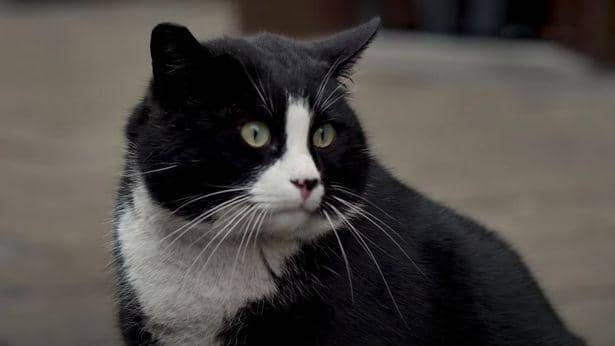 Youtube.com/wSzczecin