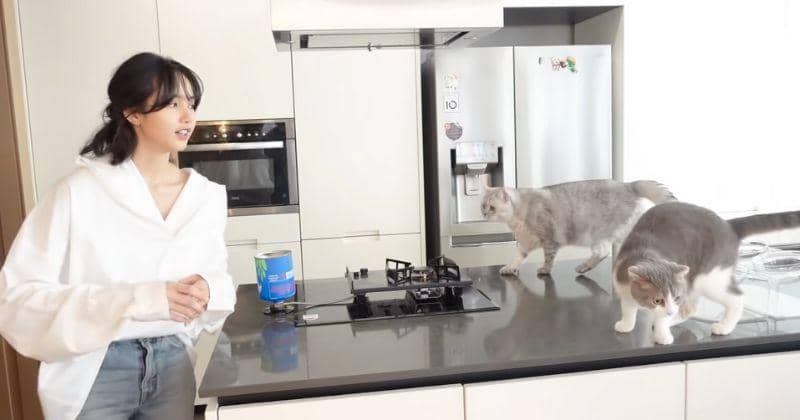 youtube.com/Lilifilm Official