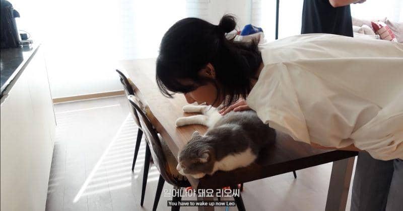 youtube.com/Lilifilm Official