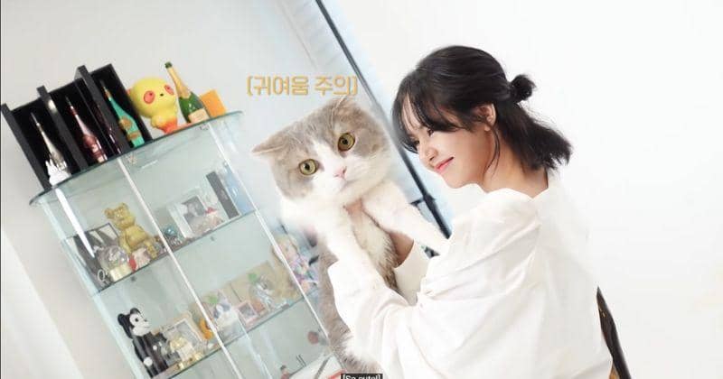 youtube.com/Lilifilm Official