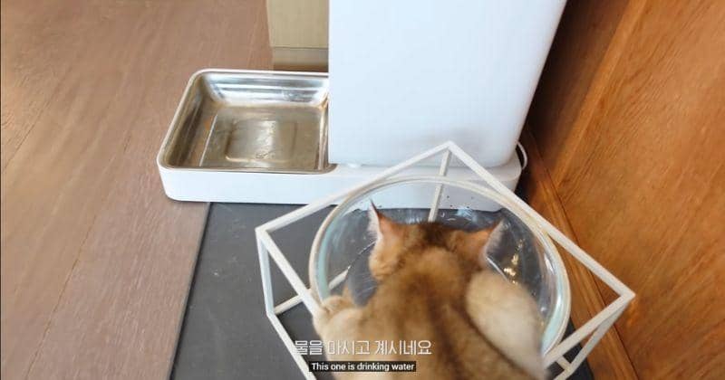 youtube.com/Lilifilm Official