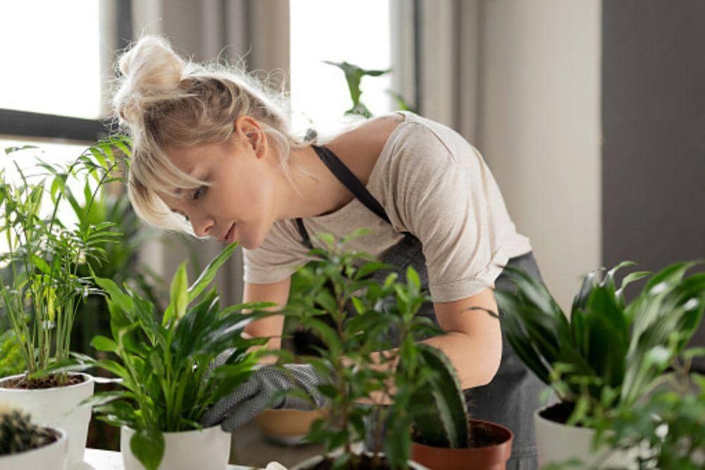 unsplash.com/istockphoto