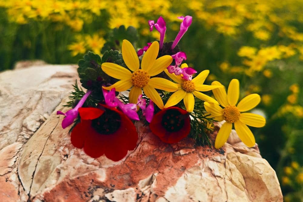 Unsplash.com/Milo Rossi