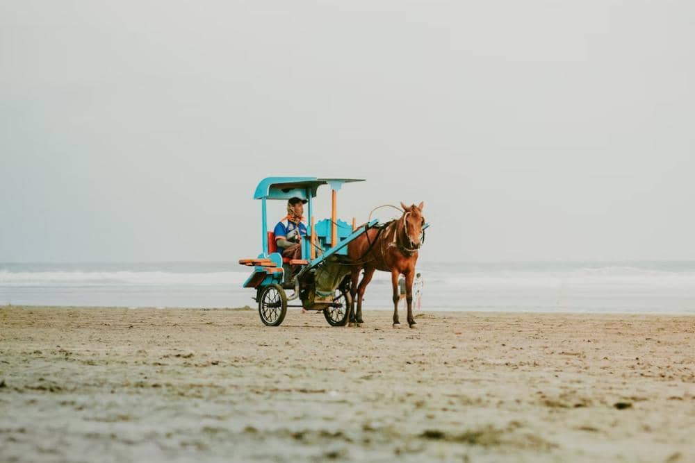 unsplash.com/Aviv Rachmadian