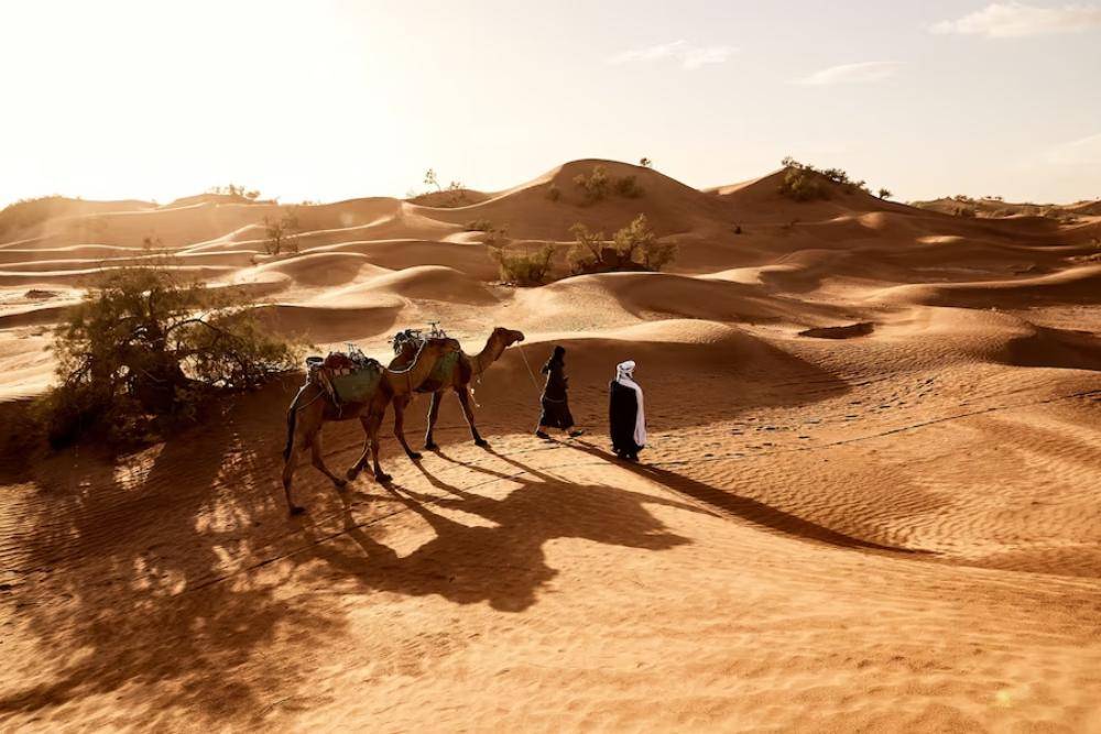 Niat Puasa Arafah Lengkap Arab, Latin, dan Keutamaannya