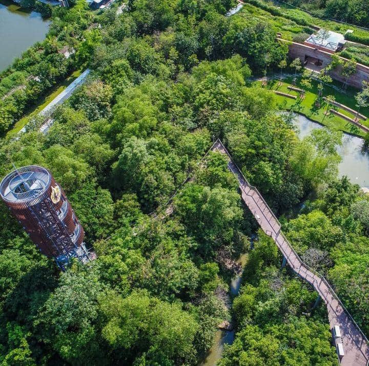 Instagram.com / pttmetroforest