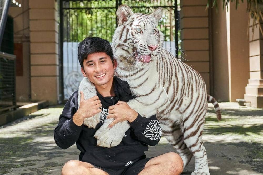 Instagram.com/alshadahmad