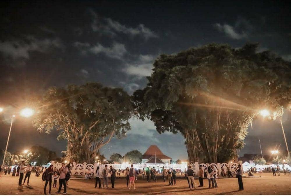 Ilustrasi Alun Alun Kidul(instagram.com/wonderfuljogja)