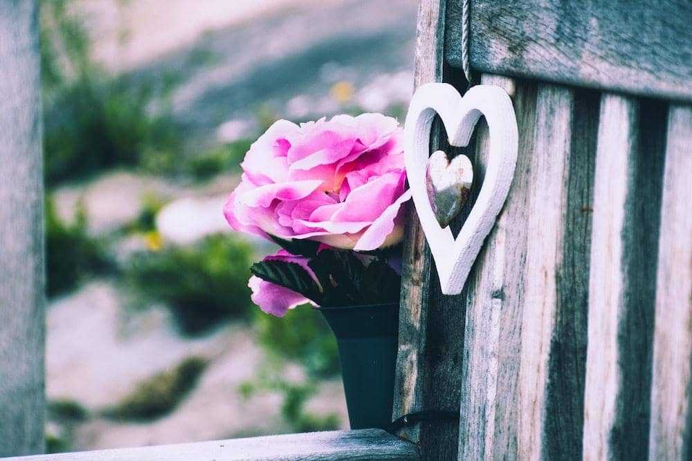 Pexels.com/Lisa Fotios