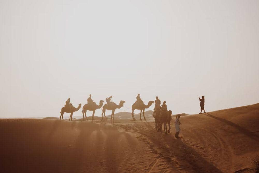 unsplash.com/dancalders