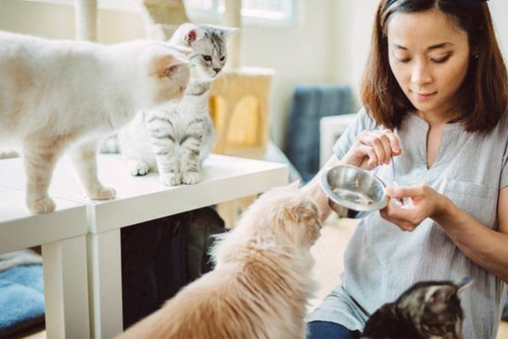 petsguide.livejournal.com