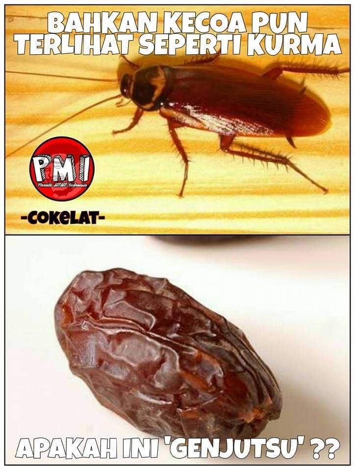 acebook.com/Pecinta Meme Indonesia