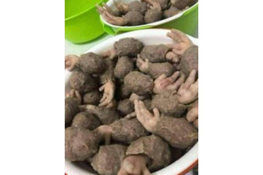 twitter.com/nocontxtnetijen