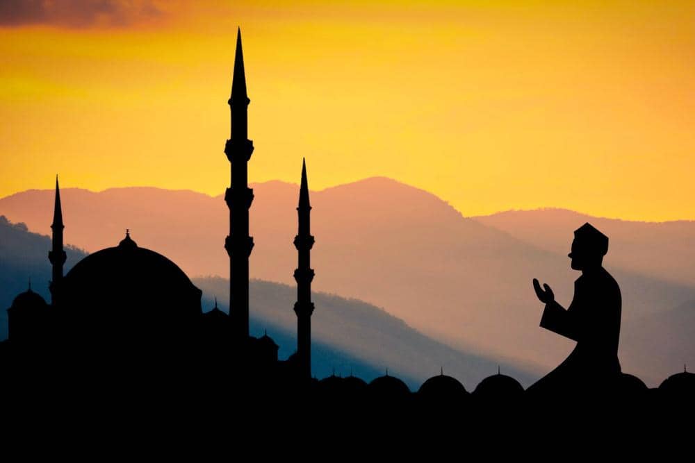 pixabay.com/@mohamed_hassan