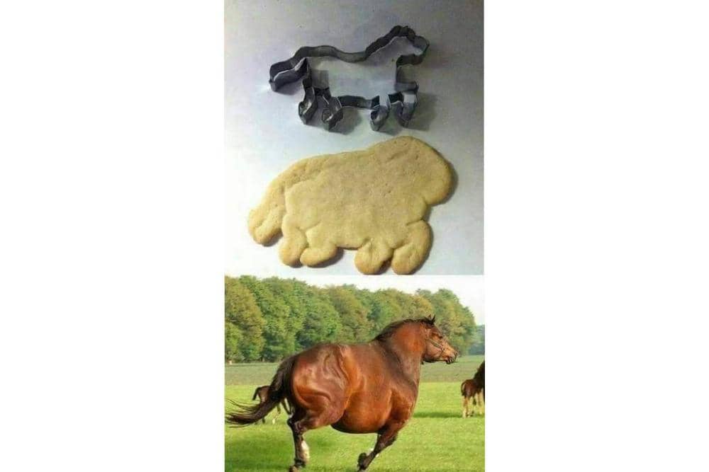 twitter.com/nocontxtnetijen