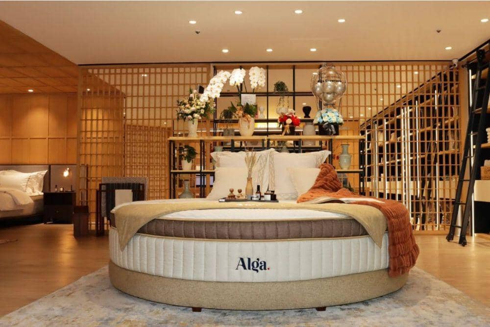 Alga Sleep Store