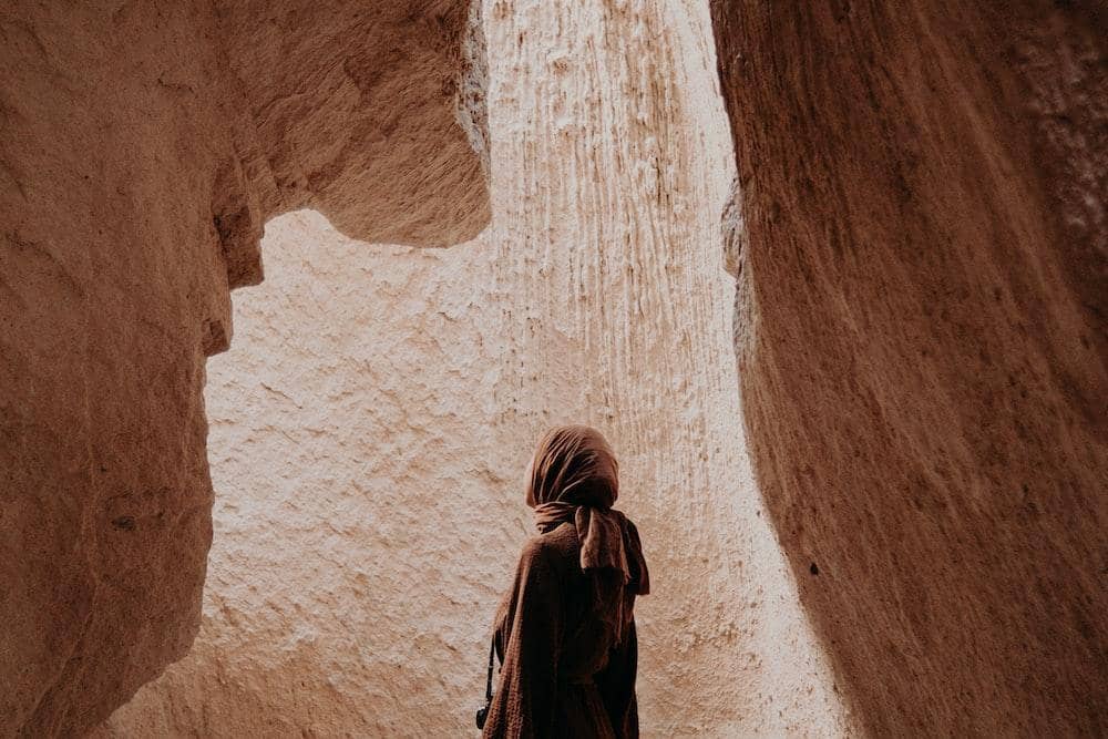 pexels.com/the-cactusena