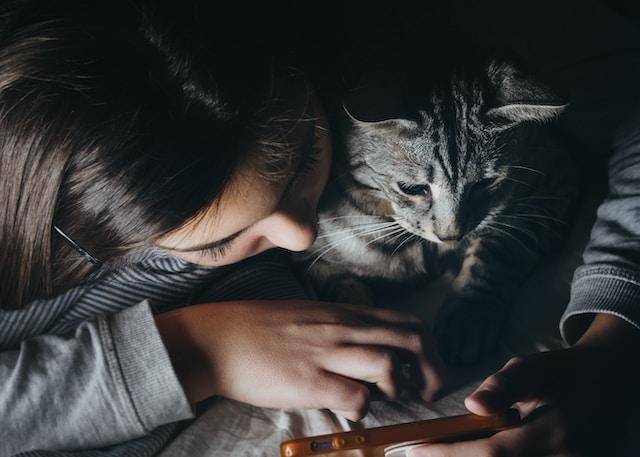 Mengenal Jasa Pet Sitter, Banyak Dicari Jelang Mudik Lebaran!