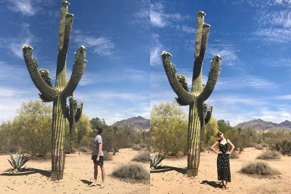 instagram.com/taylorswift, joe.alwyn