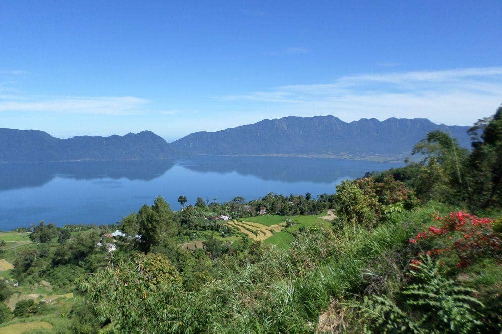 unsplash.com/jejakwargalokal