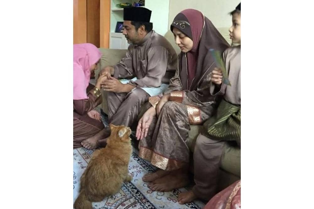 instagram.com/bagihumor